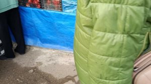 Краснодар,ярмарка на Невкипелого 15.11