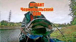 Радиоактивный МУТАНТ Чернобыльский СОМ