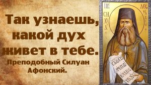 Так ты узнаешь, какой дух живет в тебе. Преподобный Силуан Афонский.