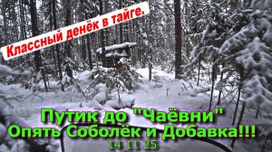Путик до Чаёвни, Опять Соболёк и Добавка!!! 14 11 25