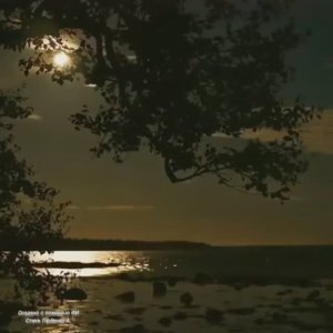 НОЧНАЯ ПЕСНЯ