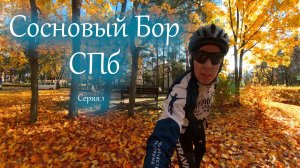 Сосновый Бор | Заказник Лебяжий | Серия 1