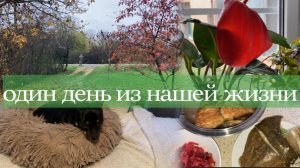 Жизнь на юге/ Адыгея/ Простая жизнь/ Аленький цветочек/ Рыбка на ужин/ Скупой платит дважды/