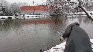 Светлые Горы Форель5 15.11.2025г.