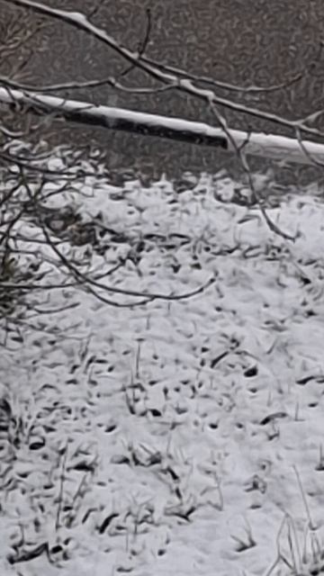 А снег идёт, а снег идёт смотреть онлайн