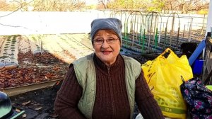 Последний урожай в ноябре...Макеевка ДНР Россия , такие дела...