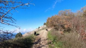 Прекрасные виды с горы Гуруш.