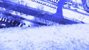 ✨ВОЛШЕБСТВО ПЕРВОГО СНЕГА. МОСКВА ПРОСНУЛАСЬ. 15 НОЯБРЯ 2025 ГОДА.