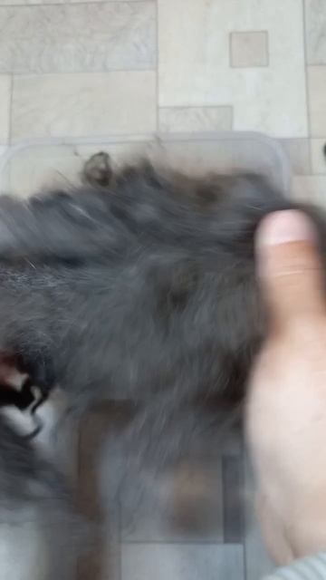 Требушу пух для дальнейшей работы с ним