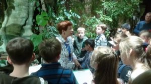 2019 МБОУ СОШ №67 г. Владивостока. В океанариуме 4В