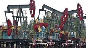 Депутат бундестага Котрэ: ФРГ покупает нефть и газ вдвое дороже из-за санкций