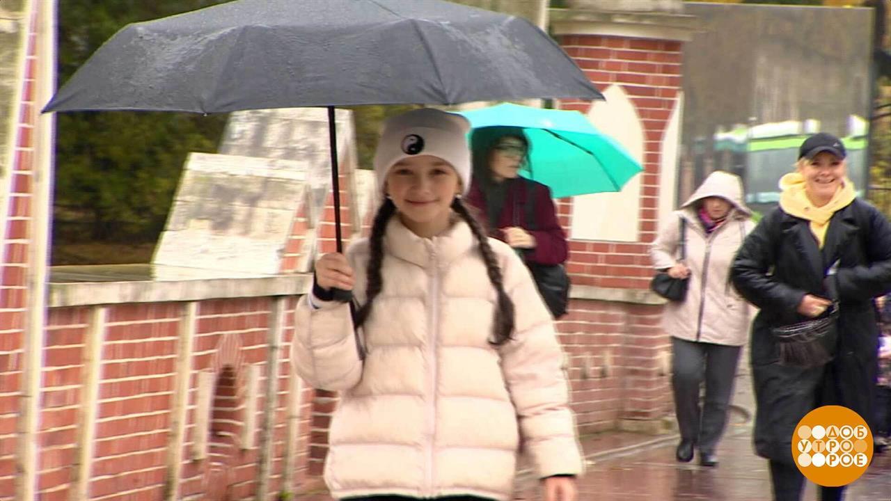 Успокой меня, дождь... Доброе утро. Суббота. Фрагмент выпуска от 15.11.2025