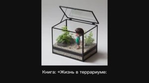 Книга: «Жизнь в террариуме: руководство по адаптации и выживанию»