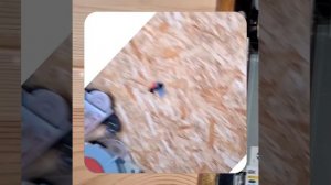 1000040192.mp4 (Собака смотрит на монтаж электропроводки (подключен. 3-х ф. розетки) в доме А-фрейм)