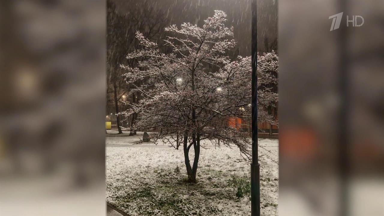 Оранжевый уровень погодной опасности объявлен в Москве.