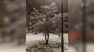 Оранжевый уровень погодной опасности объявлен в Москве