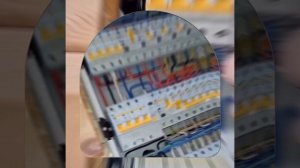 1000040193.mp4 (Собака смотрит на монтаж электропроводки (подключен. 3-х ф. розетки) в доме А-фрейм)