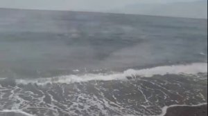 Аркадий Северный - Концерт