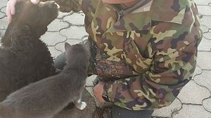 14-15 ноября 2025г. Наши дни  в кубанской станице.