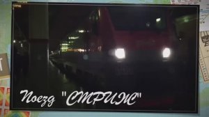 Поезд "Стриж".