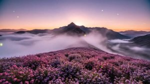 Раннее утро - нежная музыка для настроения