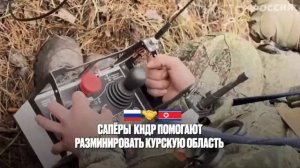 Саперы из КНДР помогают российской армии разминировать курское приграничье
