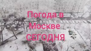 Погода в Москве сегодня