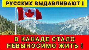 КАНАДА - ЖИЗНЬ СТАЛО НЕВОЗМОЖНО ❗️ КАНАДА ВЫДАВЛИВАЕТ АДЕКВАТНЫХ ЛЮДЕЙ ❗️