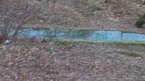 2025.11.07.Москва.Серебрянный бор.