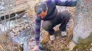 ЖИЗНЬ КАК ОНА ЕСТЬ