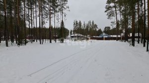 10330809 ДНТ Алтай