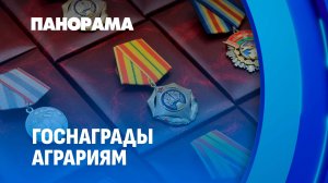 Лучшие из лучших! Кто отвечает за продовольственную безопасность страны? Панорама