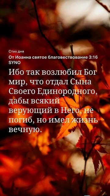#слово на 15.11 #Библия #Иоанна316 смотреть онлайн
