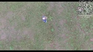 Юная девушка на зелёной траве.