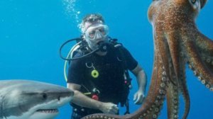 Погружения на Кубе