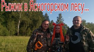 Рыжик в Ясногорском лесу... Банда Камрадов в поисках кладов, монет и старины. Коп 29.06.25г