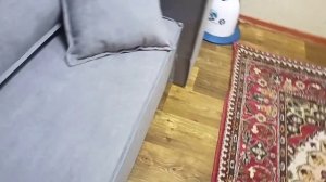 Привет. За 5 минут собрали. Нужно было только снять упаковку и соединить все части. До работы с утра