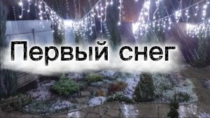 Первый снегопад в этом году ❄❄❄