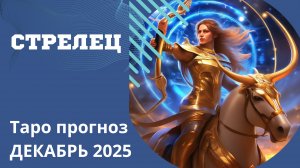 СТРЕЛЕЦ-ТАРО ПРОГНОЗ НА ДЕКАБРЬ 2025 от Натали Эллиф    15-11-2025