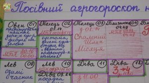 Декабрь 2025: Что и Когда Посеять, Посадить на Огороде, в Теплице?