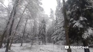 Зима пришла в Подмосковье!