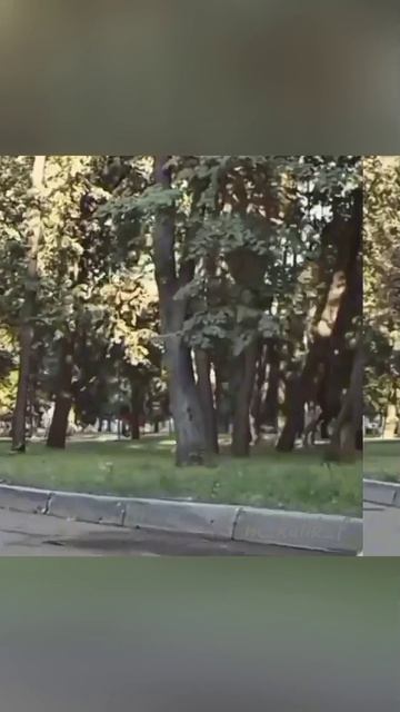 Я бегу и мне нравится 😂❤
Любимые Брагины❤ Мария Куликова и Максим Аверин смотреть онлайн