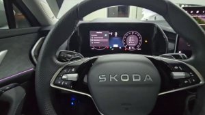Kodiaq 2 Адаптивный круиз и пакет ассистентов