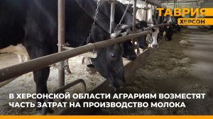 В Херсонской области аграриям возместят часть затрат на производство молока