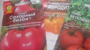 15.11.2025 Новые пакетики с семенами под разговор о растениях сезона 2026