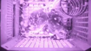 🛰🐭Китайские мыши-космонавты завершили свою орбитальную миссию