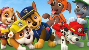 🐶 Щенячий патруль, Скай, Маршал, Гонщик, Крепыш ,Эверест, и Рокки 🔥 Новый сборник