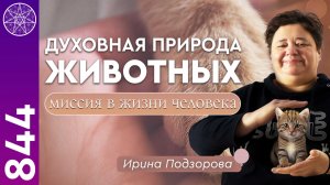 #844 Природа животных и домашних питомцев. Их миссия в жизни человека