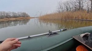 ТАКАЯ РЫБАЛКА ВПЕРВЫЕ У НЕЁ!!! ОНИ ТАЩАТ И ГНУТ УДОЧКУ! Рыбалка на поплавок. Ловля сазана, карася