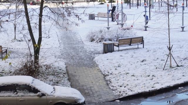 ЛЮБОПЫТНАЯ ВОРОНА